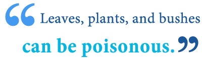 Definition of poisonous definition of venomous definition